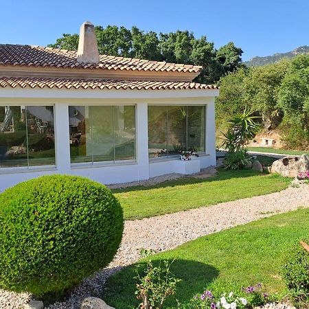 B&B La Chintina Sant'Antonio di Gallura Exterior foto