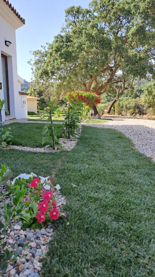 B&B La Chintina Sant'Antonio di Gallura Exterior foto