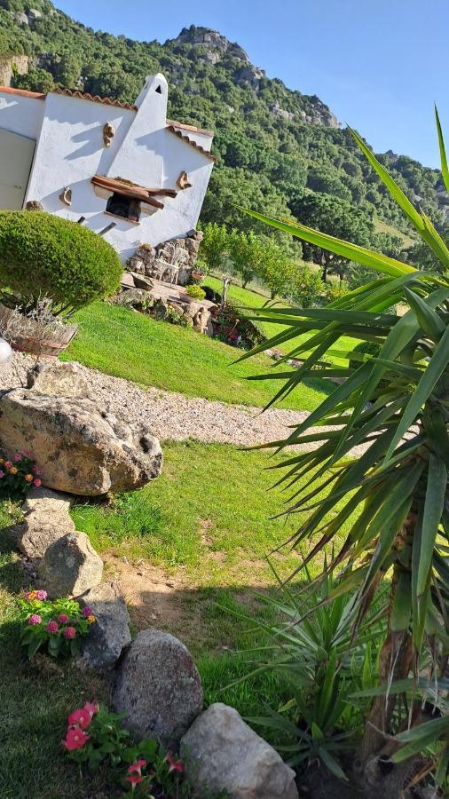 B&B La Chintina Sant'Antonio di Gallura Exterior foto